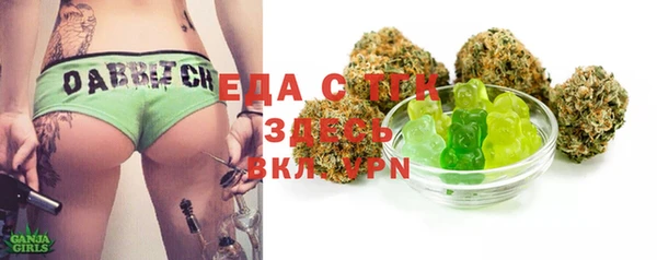 индика Весьегонск