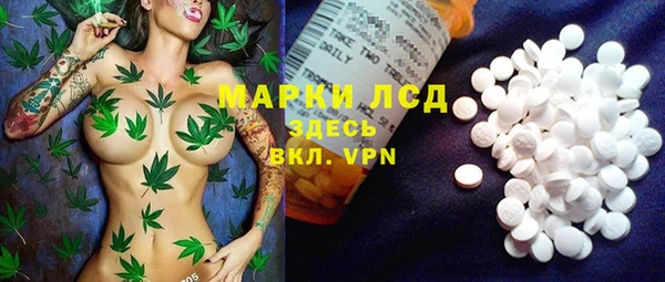 мяу мяу мука Лабытнанги