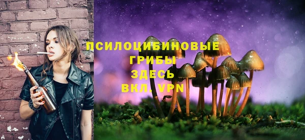 альфа пвп Кулебаки