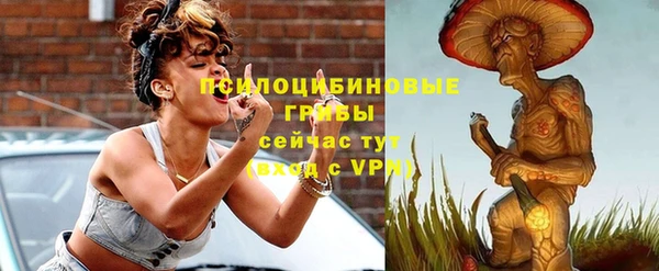 мяу мяу мука Лабытнанги