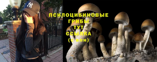 альфа пвп Кулебаки