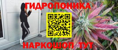 марихуана Гатчина