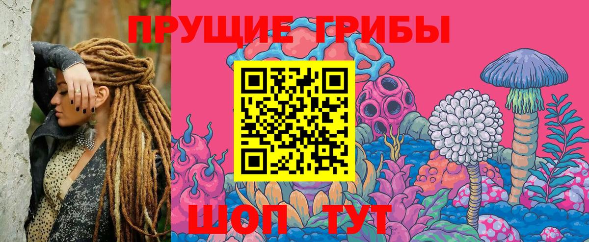 Галлюциногенные грибы Psilocybine cubensis  Вход с VPN  Лангепас 