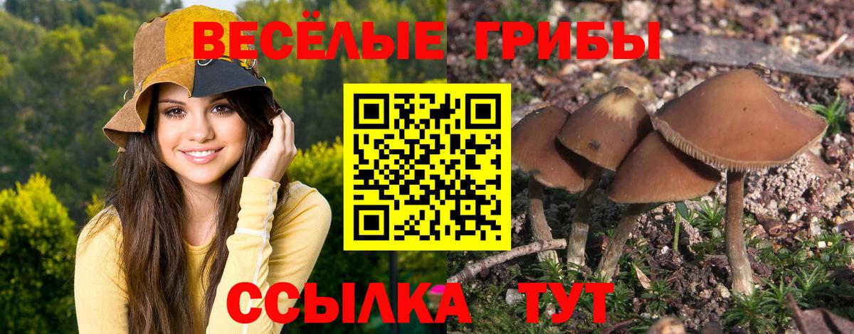 Галлюциногенные грибы мухоморы Лангепас